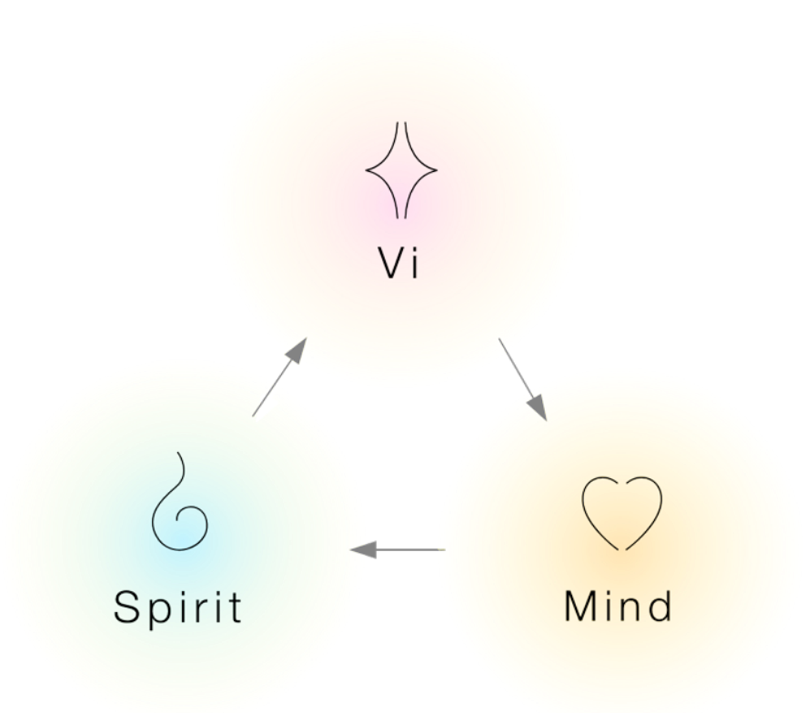 モデスティが大切にしているサービスへの“想い”について
